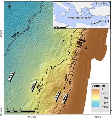 Trophic Ecology of Deep-Sea Megafauna in the Ultra-Oligotrophic Southeastern Mediterranean Sea